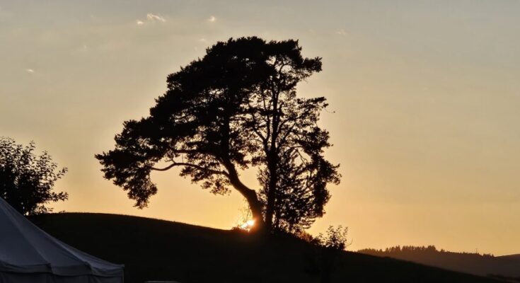 Sonnenuntergang_Orsingen